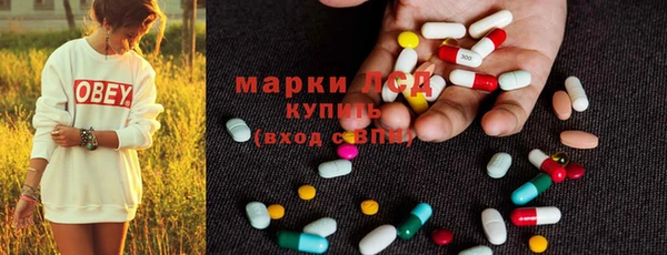 стафф Архангельск
