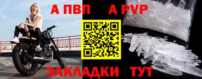 СК Кингисепп