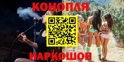СК Кингисепп