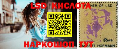 СК Кингисепп