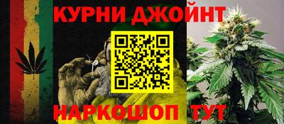 СК Кингисепп
