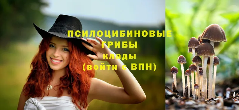 Галлюциногенные грибы прущие грибы  Ноябрьск 