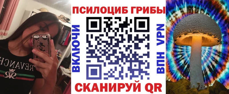 где можно купить наркотик  Ноябрьск  Псилоцибиновые грибы прущие грибы 