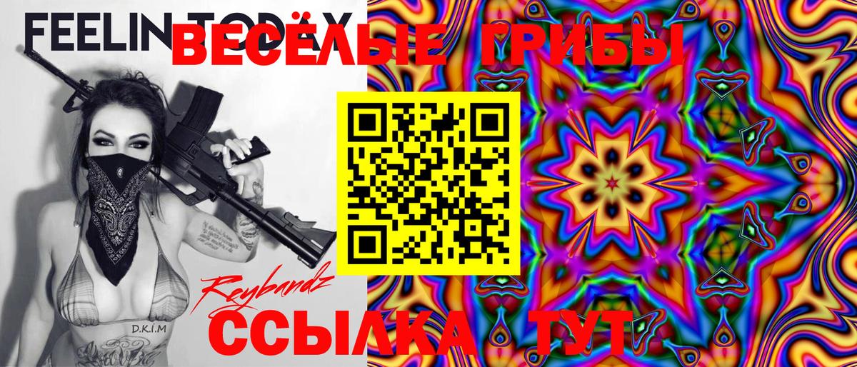 Псилоцибиновые грибы Psilocybine cubensis Ноябрьск