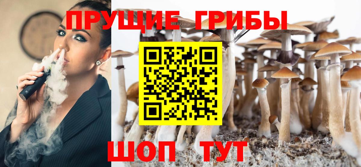 Псилоцибиновые грибы Psilocybe  Вход с VPN  Ноябрьск 