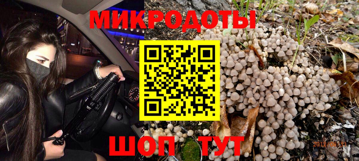 дарнет шоп  Ноябрьск  Псилоцибиновые грибы Psilocybe 