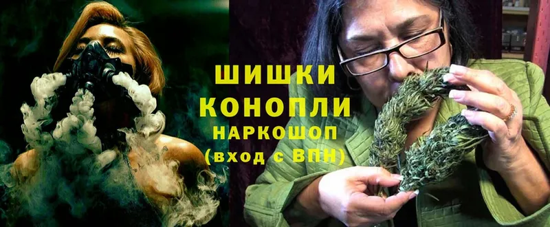 Канабис сатива  цена наркотик  Ноябрьск 